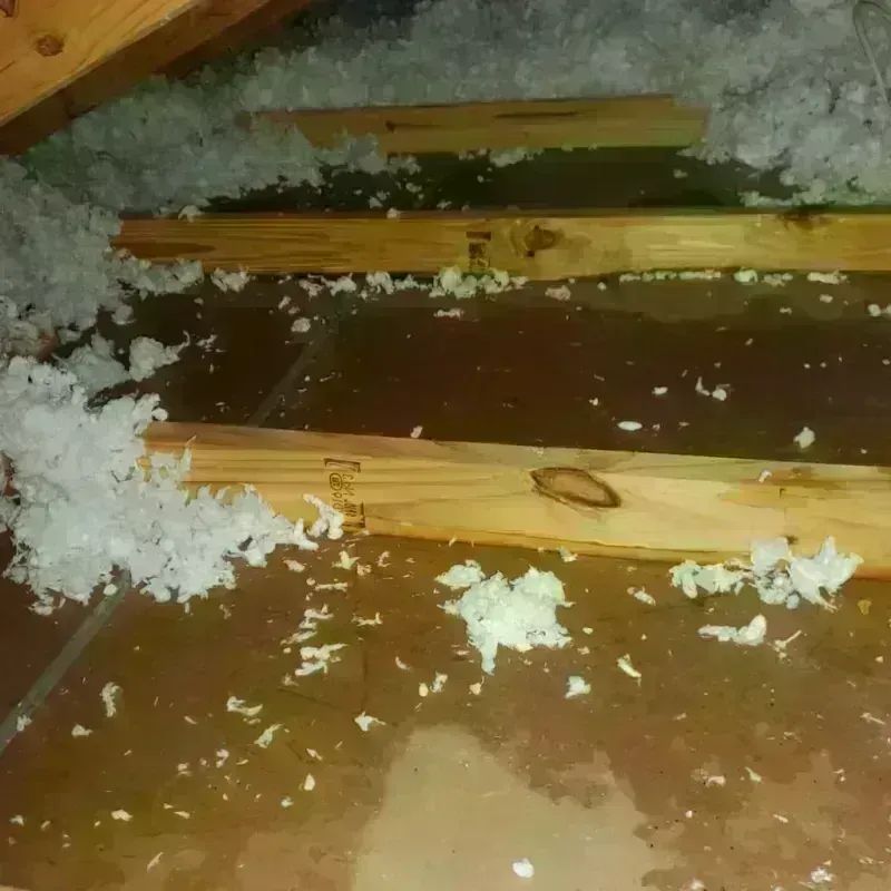 Attic Water Damage in Endwell, NY